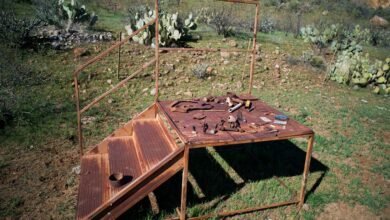 enhance digital platform tools