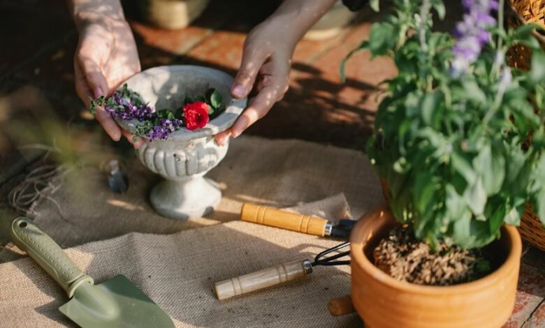 enhance growth with digital tools