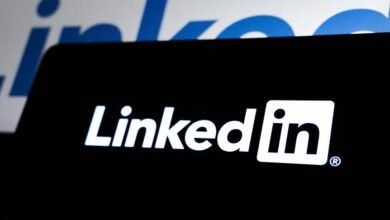 maximize online business platform